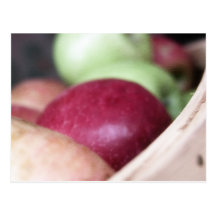 Manzanas orgánicas frescas tarjetas postales