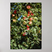 Manzanas rojas impresiones