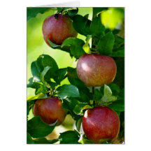 Manzanas Tarjetas