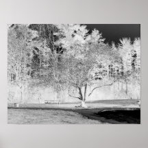 Manzano - B&W Impresiones
