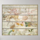 Mapa celestial Zodiacus Stellatus de la astronomía Poster