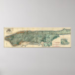 Mapa sanitario y topográfico de New York City Impresiones