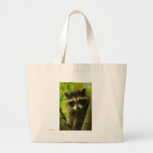 Mapache Bolsa