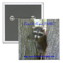 Mapache Buttoon Pin