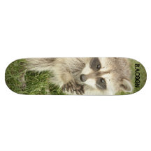 Mapache Patines