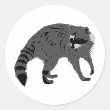 Mapache Pegatina