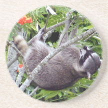 Mapache Posavasos Manualidades