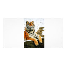 - Mara - Tarjetas Fotográficas Personalizadas