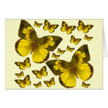 Maravilla de la mariposa tarjetas