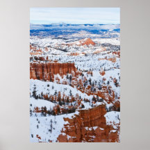 Maravilla del invierno poster