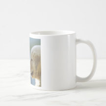 Maravilla pacífica tazas de café