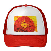 Maravillas rojas gorra
