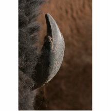 Marcas de la batalla escultura fotografica