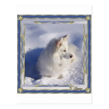 Marco esquimal americano del ornamento tarjetas postales