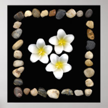 marco y frangipani de piedra impresiones