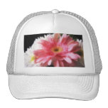 Margarita 5 del Gerbera Painterly Gorra