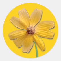 Margarita amarilla pegatinas  