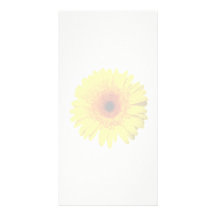 Margarita amarilla soleada del Gerbera Tarjetas Fotográficas