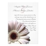 Margarita blanca del boda del Gerbera Comunicados Personales