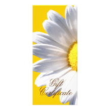 Margarita blanca grande en vale amarillo plantilla de lona