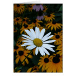 Margarita blanca y Susans Blackeyed Tarjeton