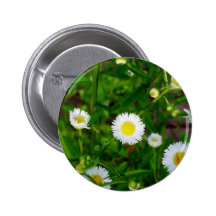 margarita bonita pin