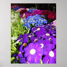 Margarita colorida posters