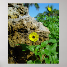 Margarita de Boulder, poster