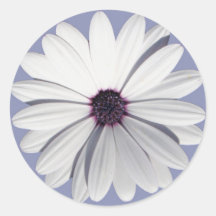 Margarita de la lavanda pegatinas  