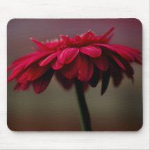 Margarita del Gerbera Alfombrilla De Ratón