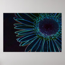Margarita del Gerbera que brilla intensamente Posters