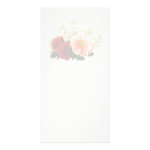 Margarita del Gerbera y dos rosas Tarjeta Fotografica Personalizada