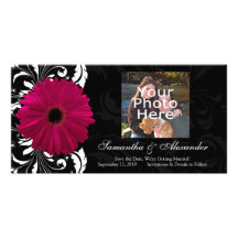 Margarita fucsia del Gerbera de la voluta con blan Tarjetas Fotográficas