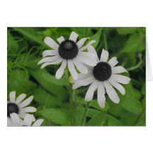 Margarita Notecard Felicitaciones