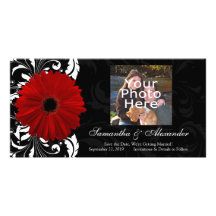 Margarita roja, blanco y negro del Gerbera de la v Tarjetas Fotograficas