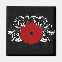 Margarita roja brillante del Gerbera en negro Imanes