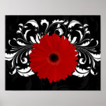 Margarita roja brillante del Gerbera en negro Poster