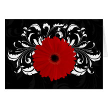 Margarita roja brillante del Gerbera en negro Tarjetas