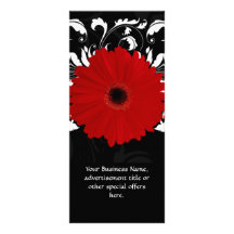 Margarita roja brillante del Gerbera en negro Tarjetas Publicitarias Personalizadas