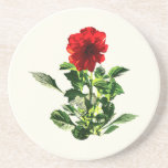 Margarita roja del Gerbera Posavasos Manualidades