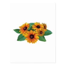 Margaritas amarillas de oro del Gerbera Tarjeta Postal