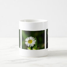 Margaritas bonitas taza