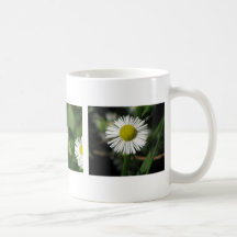 Margaritas bonitas tazas