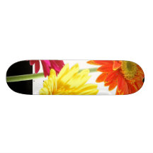 Margaritas del Gerbera Tablas De Skate