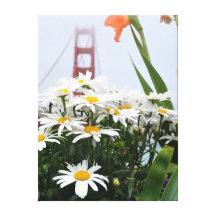 Margaritas en puente Golden Gate Lona Envuelta Para Galerías