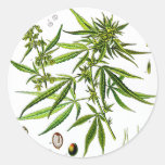 Marijuana - pegatina redondo