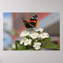 Mariposa 4 posters