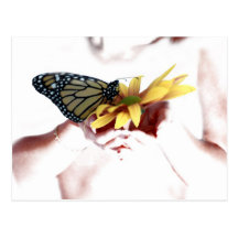 Mariposa a disposición postales