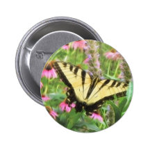 Mariposa amarilla de Swallowtail en jardín del ver Pin