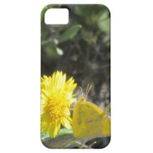 Mariposa amarilla en la caja amarilla del iPhone 5 iPhone 5 Case-Mate Funda